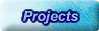 RESEARCH PROJECTS
